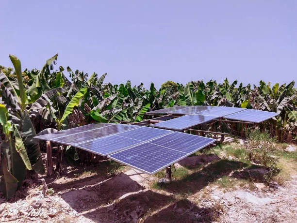 Paneles solares en Nayarit con el cielo despejado como fondo, maximizando la captación de energía solar para un uso eficiente y sostenible de la electricidad.