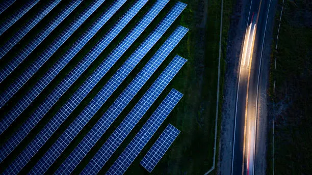 Paneles solares colocados en el bosque, aprovechando el sol en un espacio natural y sostenible.