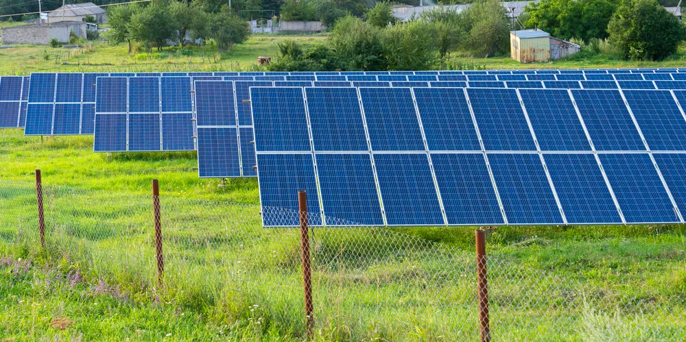 Gran hilera de paneles solares azules inclinados en un campo verde vallado para enseñar cómo reducir costos energéticos.