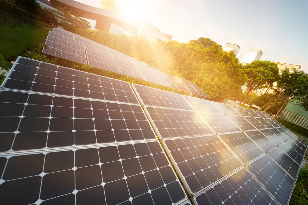 Filas de paneles solares en Guanajuato captando luz solar directa cerca de edificios modernos y áreas verdes urbanas