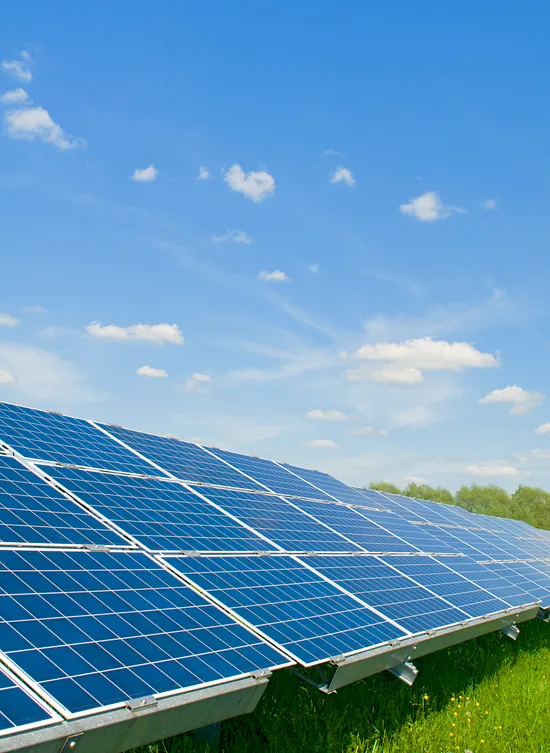Hileras de paneles solares en Tala orientadas al sur para maximizar la captación de radiación solar en zonas rurales
