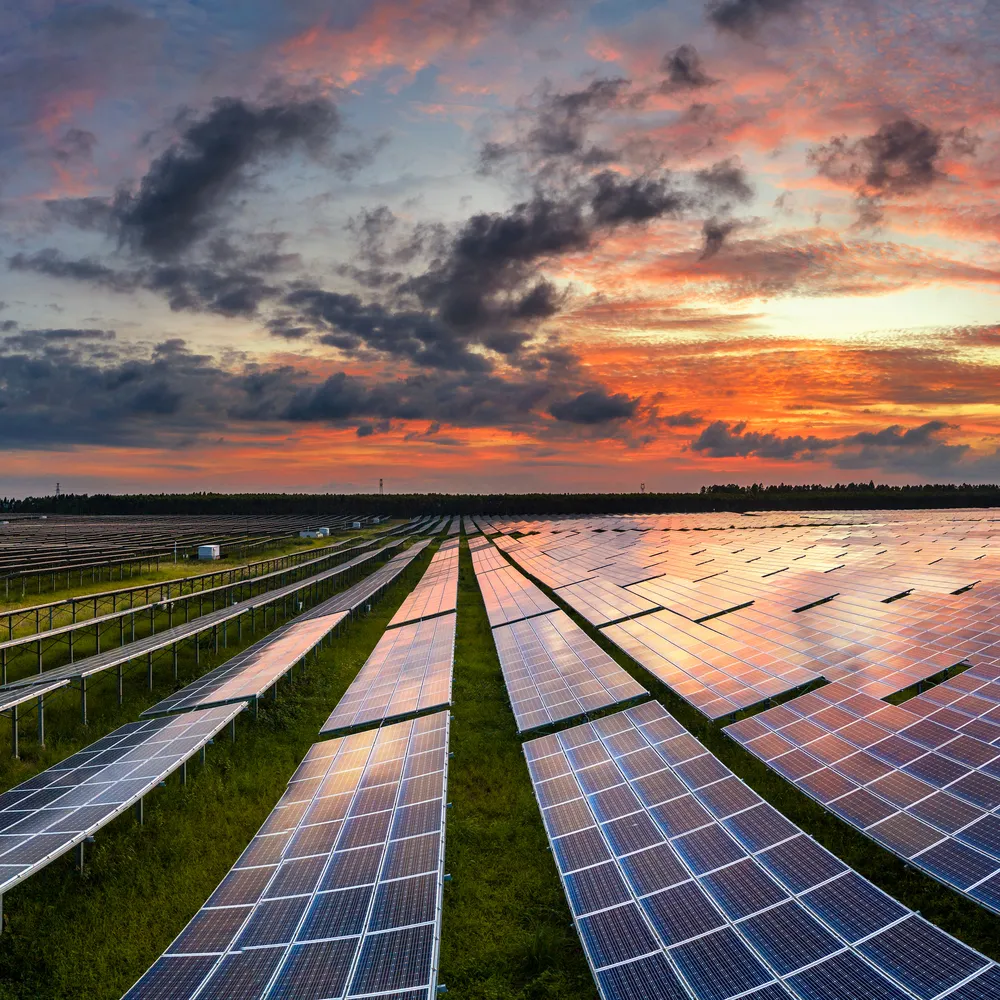 Panorámica de paneles solares en Tlajomulco situados en un campo abierto para alimentar a la red eléctrica pública.